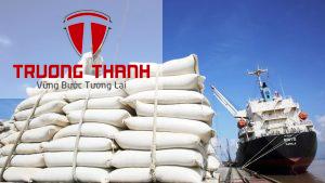 Cách Làm Hồ Sơ Thủ Tục Đăng Ký Giấy Phép Kinh Doanh Xuất Khẩu Gạo Nước Ngoài