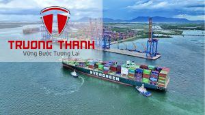 Dịch Vụ Báo Cáo Tài Chính Cho Doanh Nghiệp Logistics Và Vận Tải – Giải Pháp Quản Lý Hiệu Quả