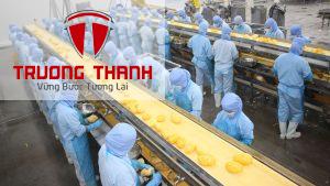 Thành Lập Công Ty Xuất Khẩu Nông Sản: Cơ Hội Bứt Phá Từ Ngành Nông Nghiệp Việt Nam