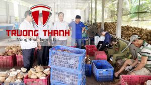 Mô Hình Hợp Tác Xã Kiểu Mới Là Gì? Phân Tích Ưu Điểm Và Nhược Điểm