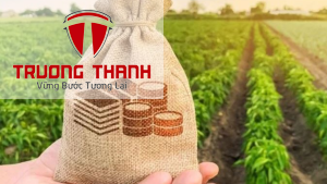 Hướng Dẫn Cách Tính Thuế Sử Dụng Đất Phi Nông Nghiệp Mới Nhất Năm 2025