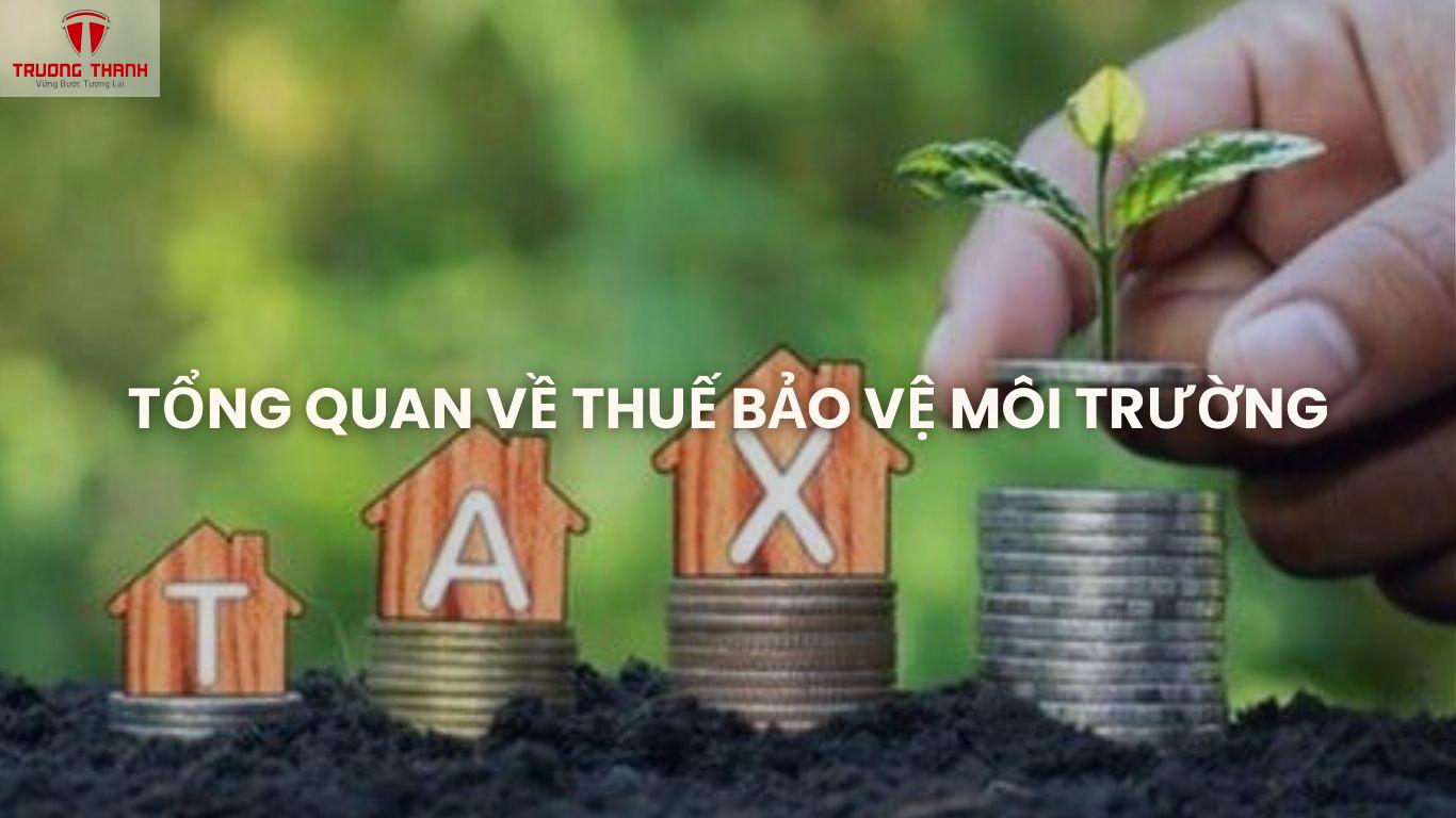 Hạch Toán Thuế Bảo Vệ Môi Trường: Hướng Dẫn Chi Tiết Cho Doanh Nghiệp Nhỏ và Vừa