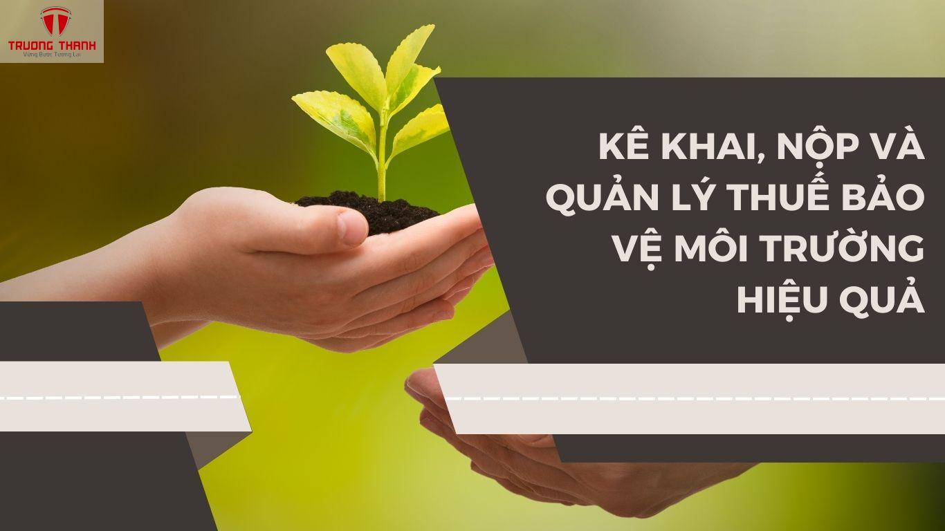 Hạch Toán Thuế Bảo Vệ Môi Trường: Hướng Dẫn Chi Tiết Cho Doanh Nghiệp Nhỏ và Vừa