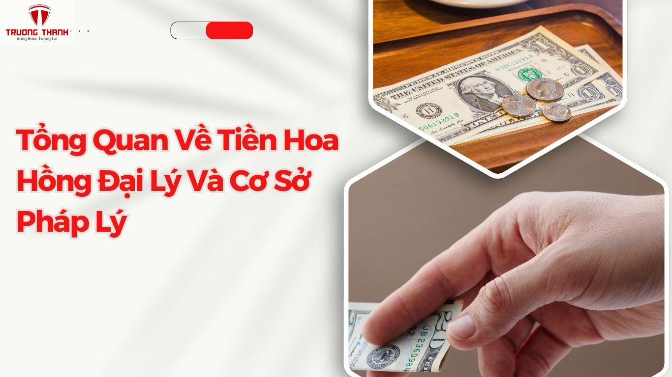 Hướng Dẫn Chi Tiết Hạch Toán Tiền Hoa Hồng Đại Lý Cho Doanh Nghiệp Nhỏ và Vừa