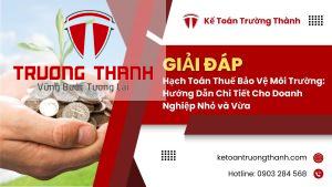 Hạch Toán Thuế Bảo Vệ Môi Trường: Hướng Dẫn Chi Tiết Cho Doanh Nghiệp Nhỏ và Vừa