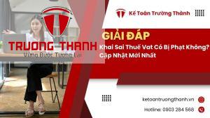 Khai Sai Thuế Vat Có Bị Phạt Không? Cập Nhật Mới Nhất
