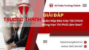 Quên Nộp Báo Cáo Tài Chính Đúng Hạn Thì Phải Làm Sao?
