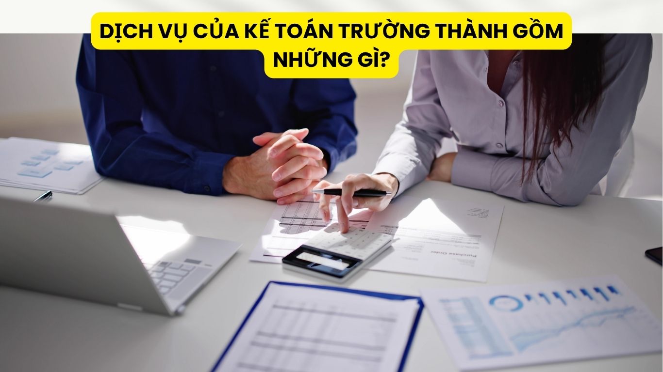 Dịch Vụ Của Kế Toán Trường Thành Gồm Những Gì?