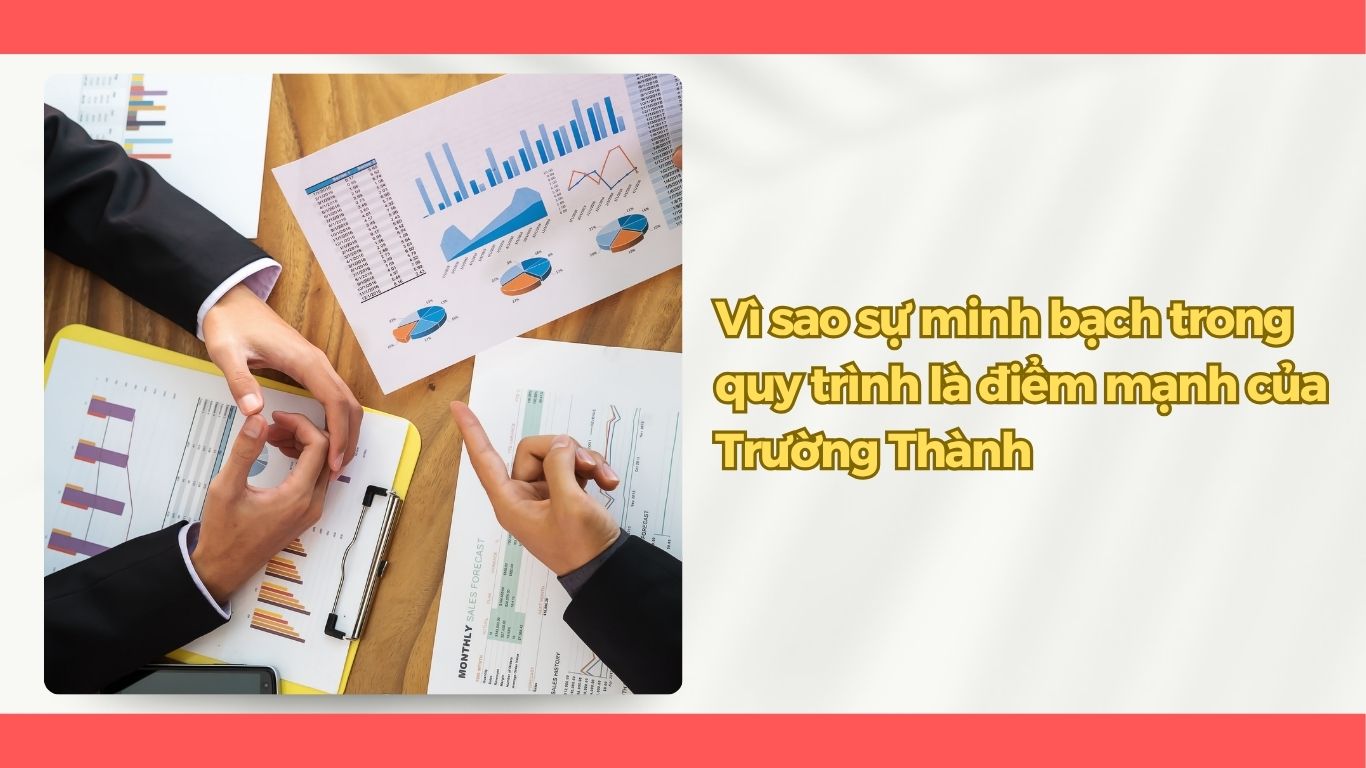 Quy Trình Làm Việc Của Kế Toán Trường Thành Có Minh Bạch Không?