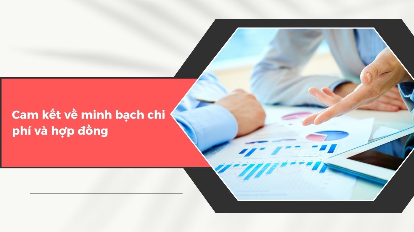 Những Cam Kết Của Kế Toán Trường Thành Khi Hợp Tác Với Doanh Nghiệp