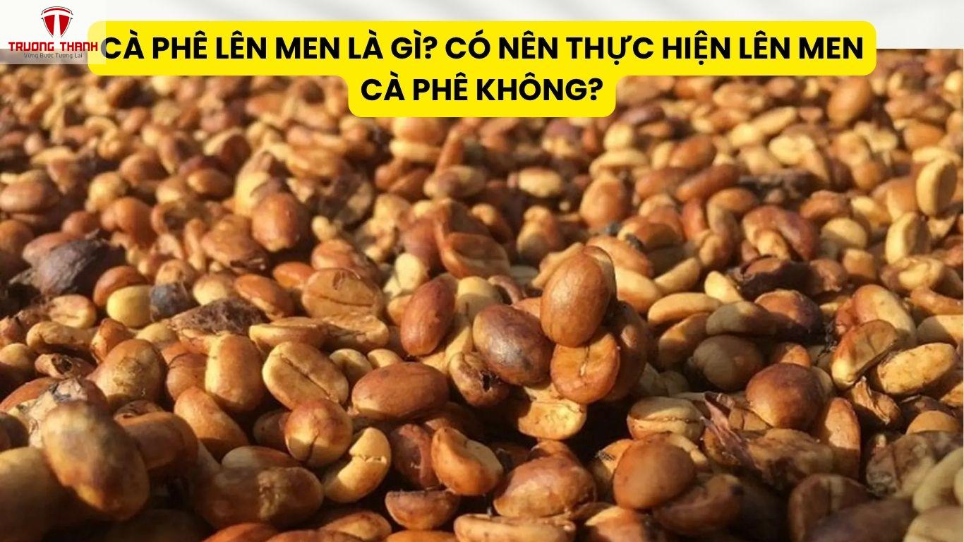 Cà Phê Lên Men Là Gì? Có Nên Thực Hiện Lên Men Cà Phê Không?