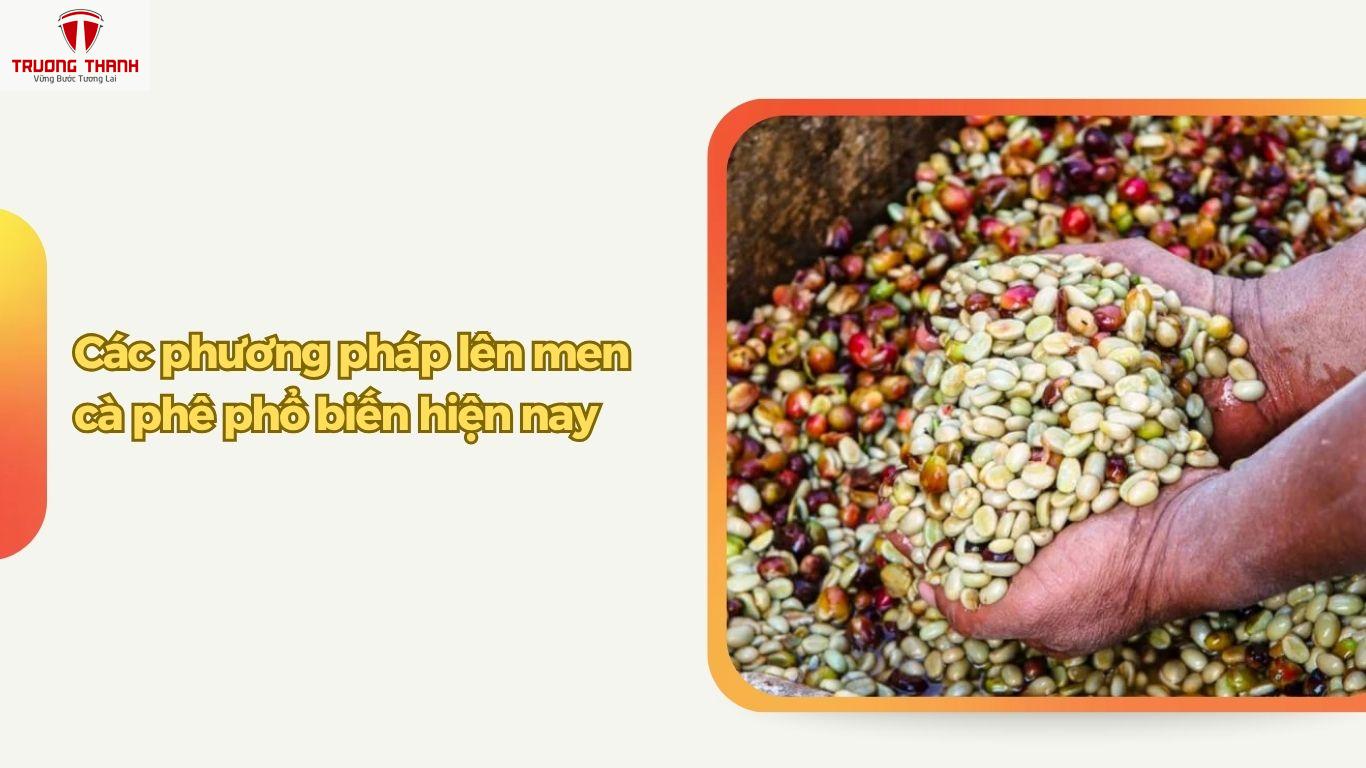 Cà Phê Lên Men Là Gì? Có Nên Thực Hiện Lên Men Cà Phê Không?