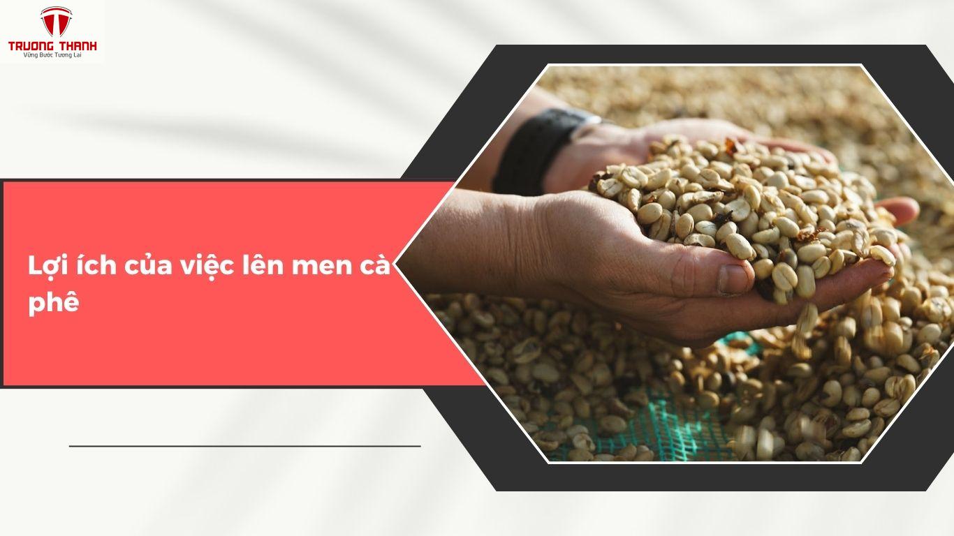 Cà Phê Lên Men Là Gì? Có Nên Thực Hiện Lên Men Cà Phê Không?
