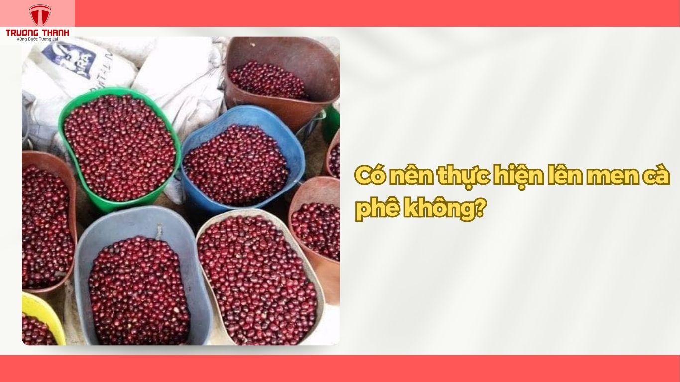 Cà Phê Lên Men Là Gì? Có Nên Thực Hiện Lên Men Cà Phê Không?