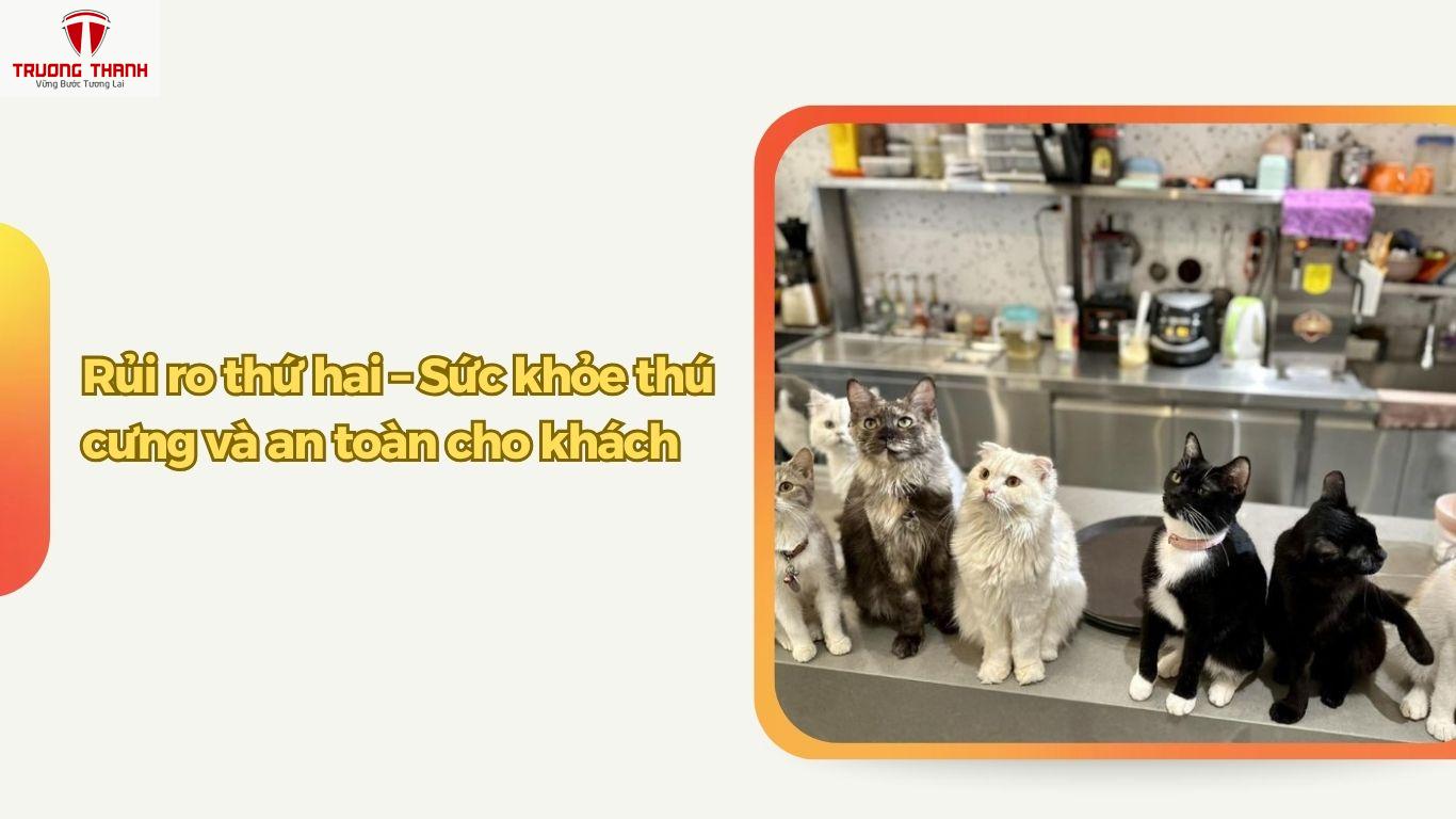 Lưu Ý 5 Rủi Ro Khi Mở Quán Cafe Thú Cưng