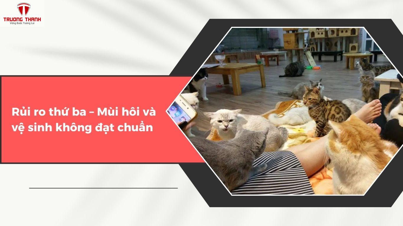 Lưu Ý 5 Rủi Ro Khi Mở Quán Cafe Thú Cưng