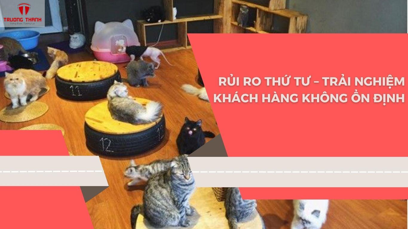 Lưu Ý 5 Rủi Ro Khi Mở Quán Cafe Thú Cưng