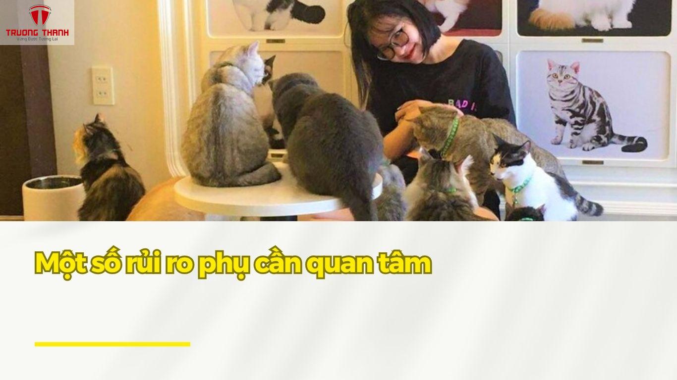 Lưu Ý 5 Rủi Ro Khi Mở Quán Cafe Thú Cưng