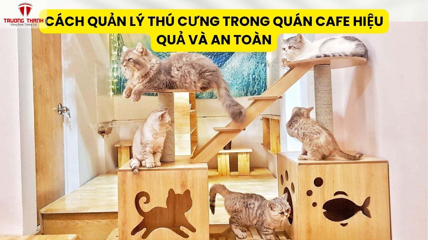 Cách Quản Lý Thú Cưng Trong Quán Cafe Hiệu Quả Và An Toàn