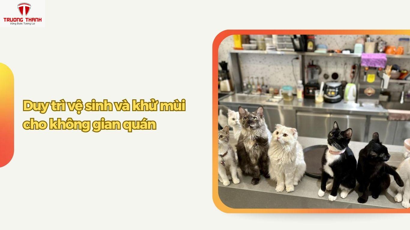 Cách Quản Lý Thú Cưng Trong Quán Cafe Hiệu Quả Và An Toàn