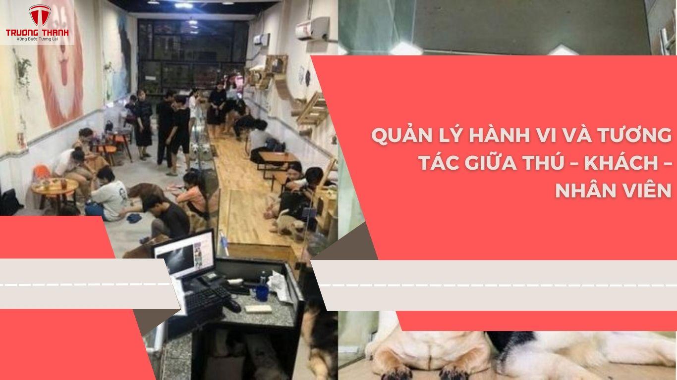 Cách Quản Lý Thú Cưng Trong Quán Cafe Hiệu Quả Và An Toàn