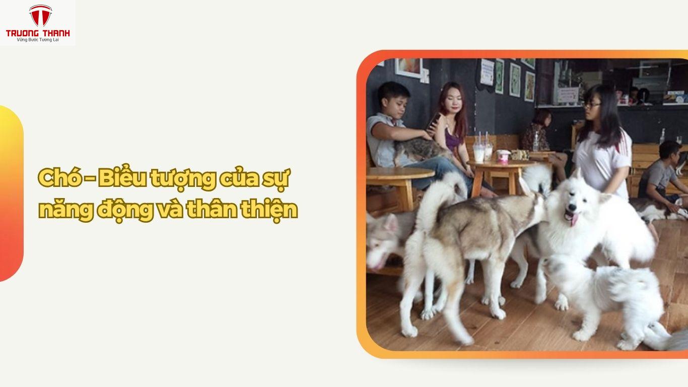 Nên Nuôi Loại Thú Nào Khi Mở Quán Cafe Thú Cưng Để Thu Hút Khách?