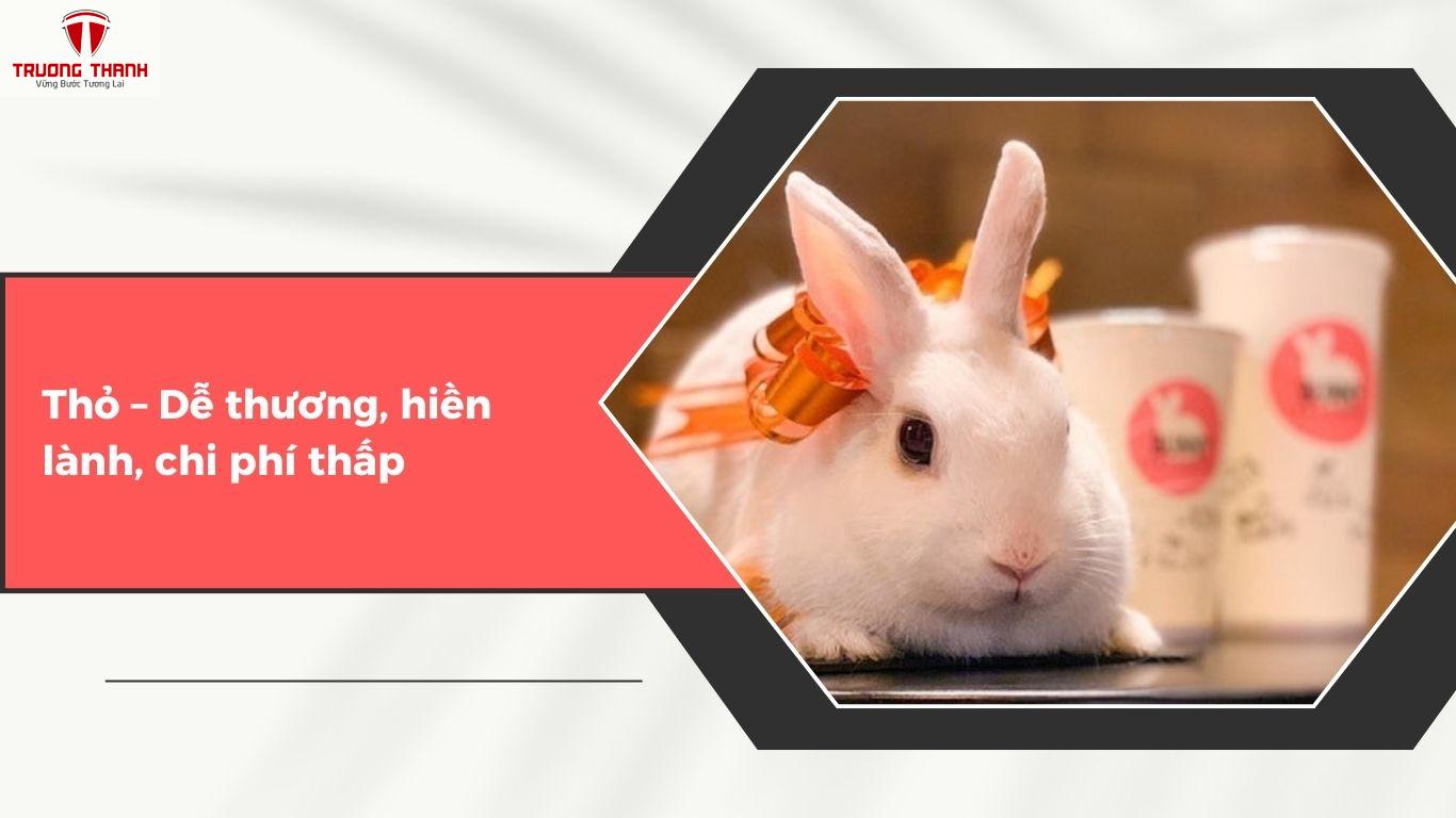 Nên Nuôi Loại Thú Nào Khi Mở Quán Cafe Thú Cưng Để Thu Hút Khách?