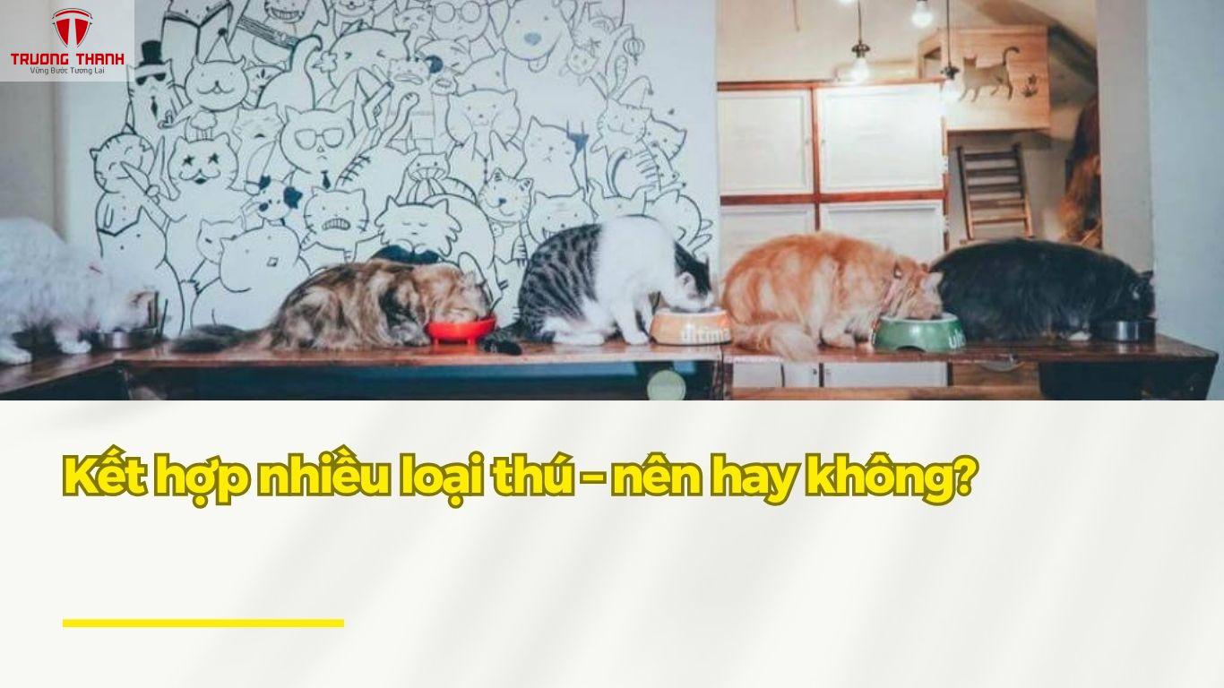 Nên Nuôi Loại Thú Nào Khi Mở Quán Cafe Thú Cưng Để Thu Hút Khách?