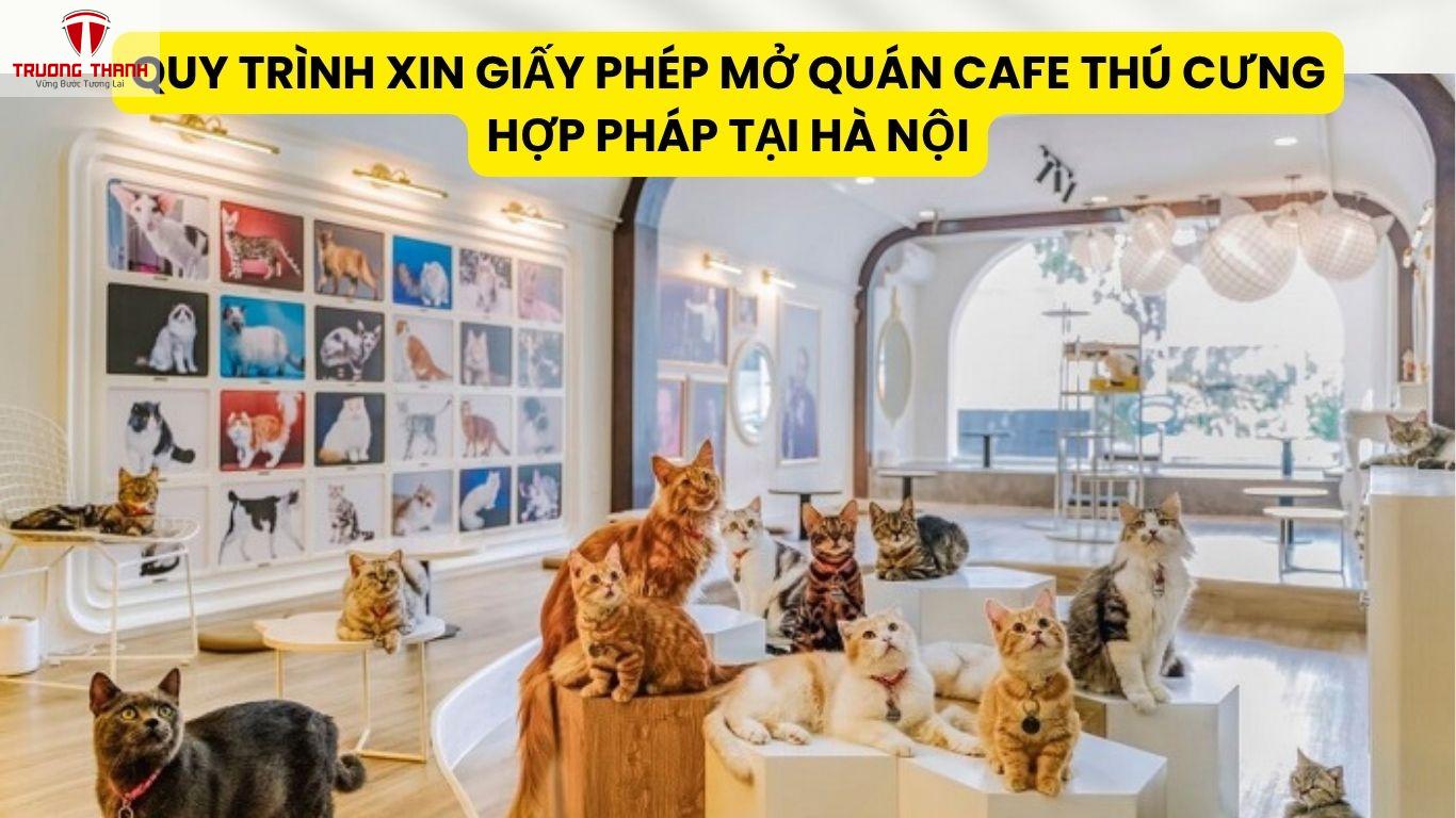 Quy Trình Xin Giấy Phép Mở Quán Cafe Thú Cưng Hợp Pháp Tại Hà Nội
