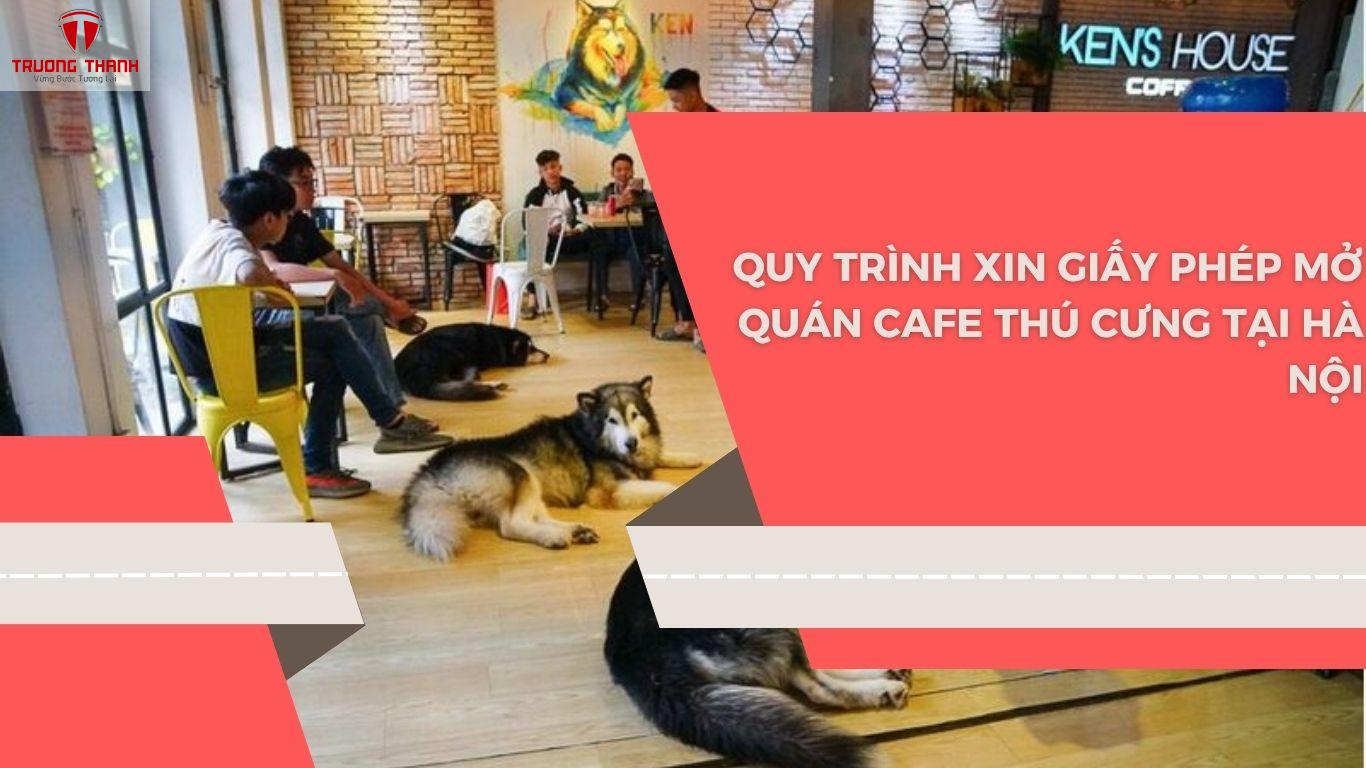 Quy Trình Xin Giấy Phép Mở Quán Cafe Thú Cưng Hợp Pháp Tại Hà Nội