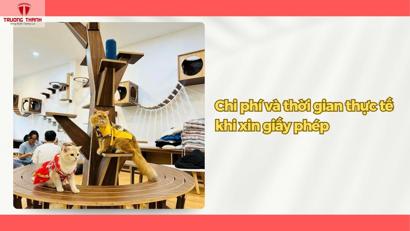 Quy Trình Xin Giấy Phép Mở Quán Cafe Thú Cưng Hợp Pháp Tại Hà Nội