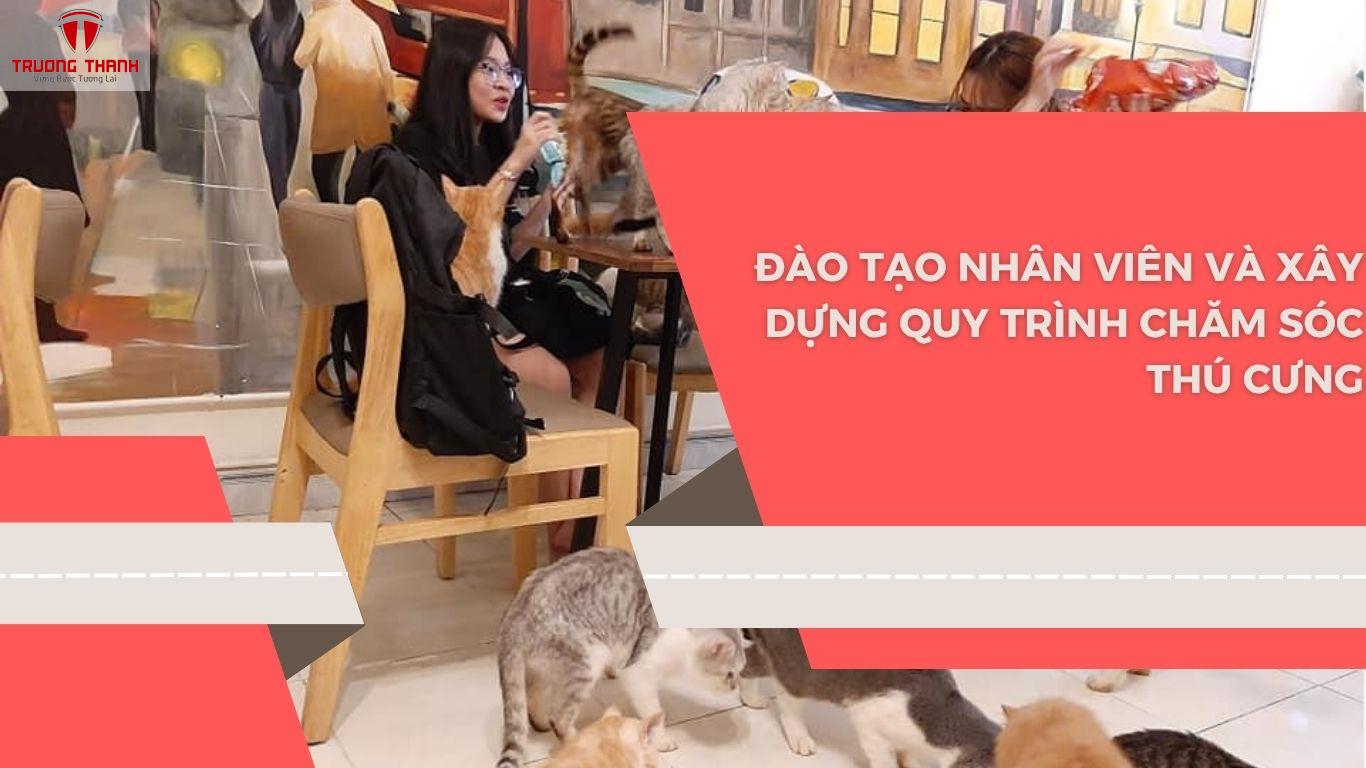 Kinh Nghiệm Kinh Doanh Cà Phê Thú Cưng Hút Khách Cho Người Mới Bắt Đầu