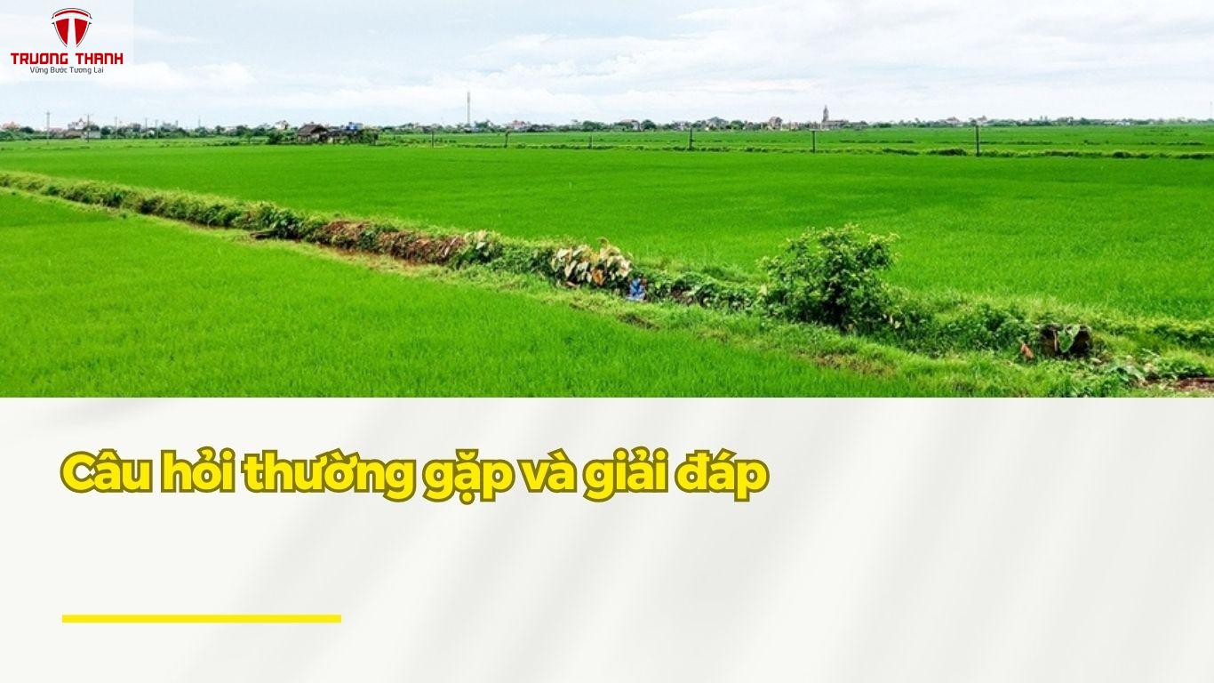 Các Trường Hợp Được Miễn Thuế Sử Dụng Đất Năm 2025