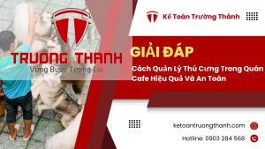 Cách Quản Lý Thú Cưng Trong Quán Cafe Hiệu Quả Và An Toàn
