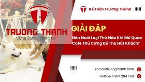 Nên Nuôi Loại Thú Nào Khi Mở Quán Cafe Thú Cưng Để Thu Hút Khách?