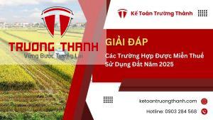 Các Trường Hợp Được Miễn Thuế Sử Dụng Đất Năm 2025