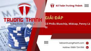 Cổ Phiếu Bluechip, Midcap, Penny Là Gì