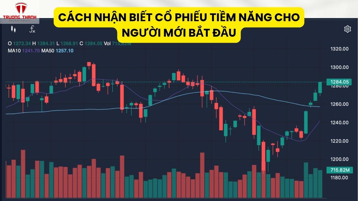 Cách Nhận Biết Cổ Phiếu Tiềm Năng Cho Người Mới Bắt Đầu