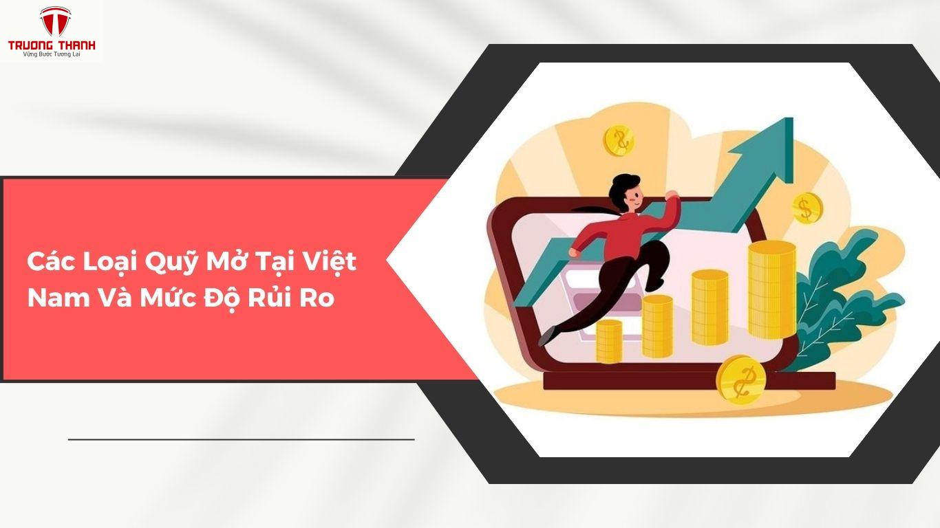 Các Loại Quỹ Mở Tại Việt Nam Và Mức Độ Rủi Ro