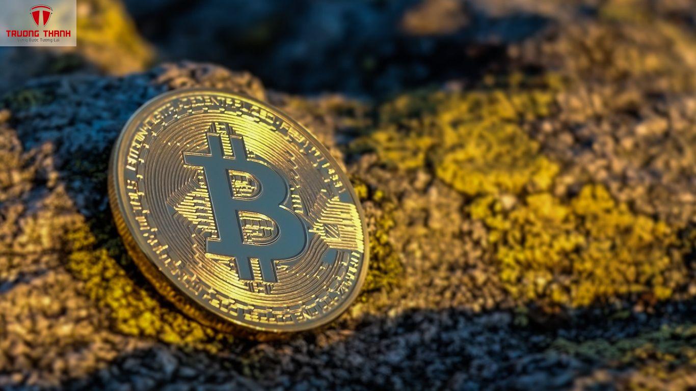 Hướng Dẫn Xác Minh Danh Tính (KYC) Trên Sàn Crypto