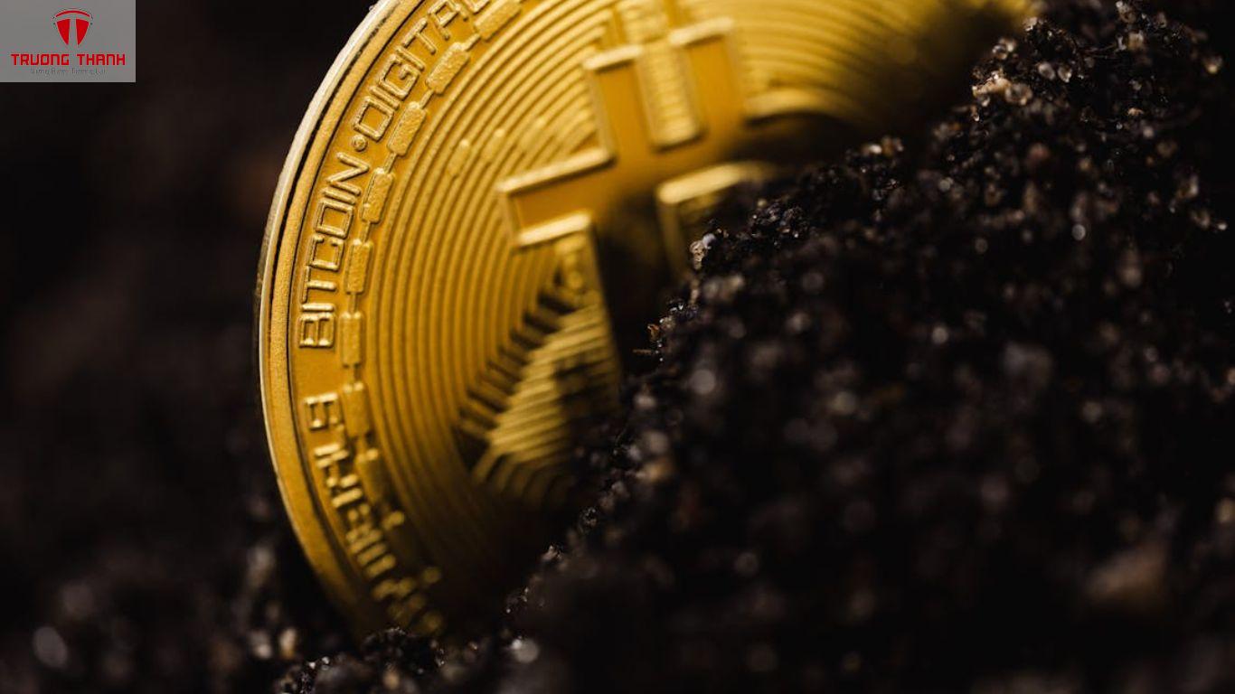 Sàn Giao Dịch Crypto Có Hỗ Trợ Giao Dịch Tiền Pháp Định Không