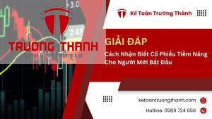 Cách Nhận Biết Cổ Phiếu Tiềm Năng Cho Người Mới Bắt Đầu