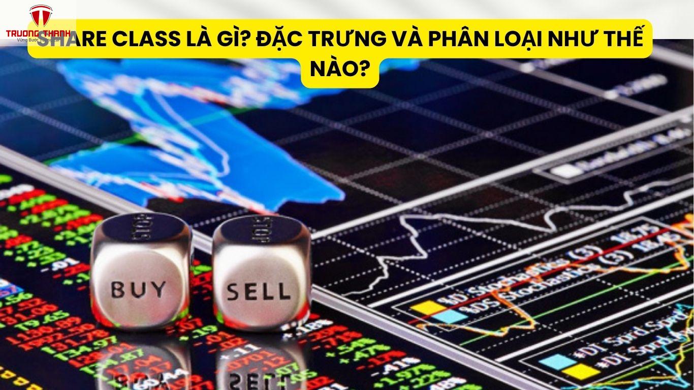 Share Class Là Gì? Đặc Trưng Và Phân Loại Như Thế Nào?