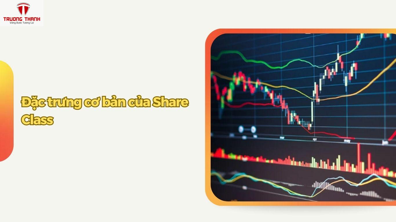 Share Class Là Gì? Đặc Trưng Và Phân Loại Như Thế Nào?