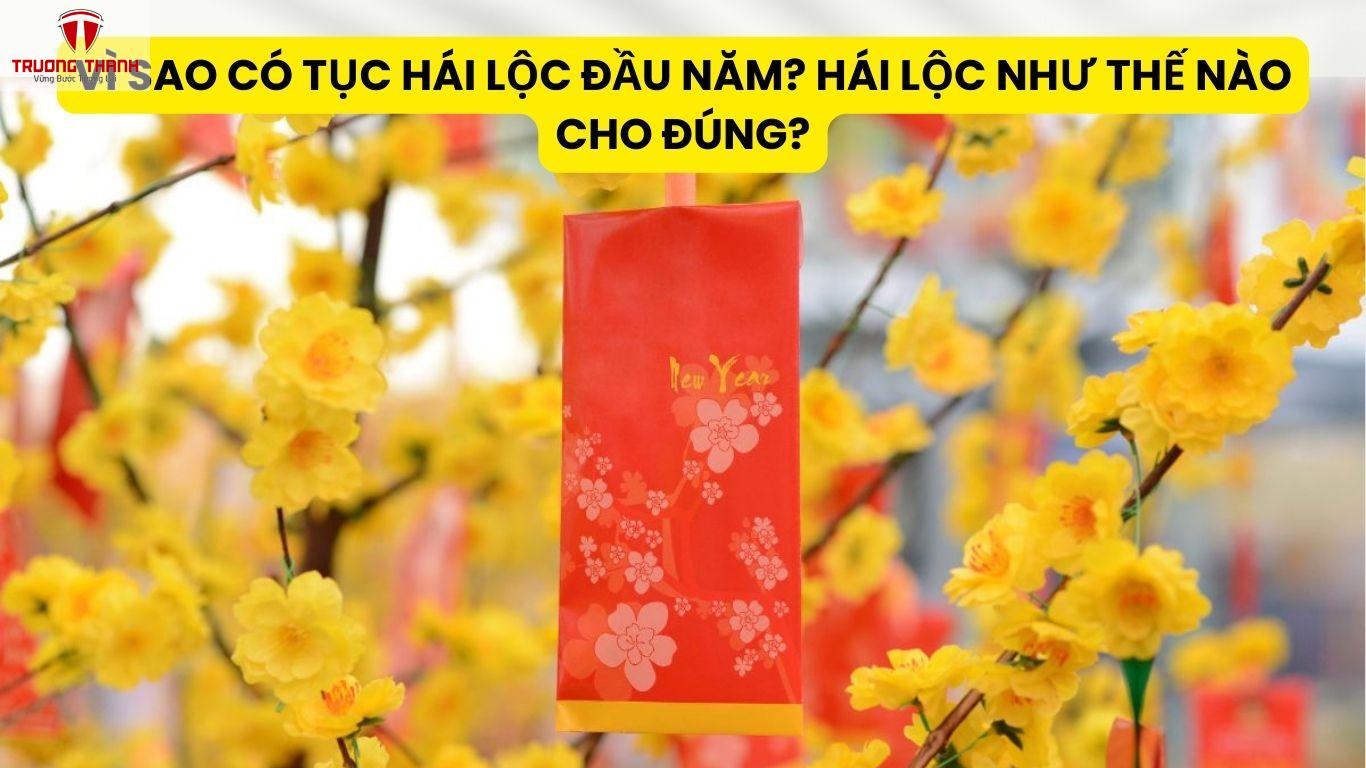 Vì Sao Có Tục Hái Lộc Đầu Năm? Hái Lộc Như Thế Nào Cho Đúng?