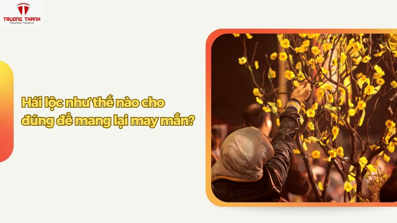Vì Sao Có Tục Hái Lộc Đầu Năm? Hái Lộc Như Thế Nào Cho Đúng?
