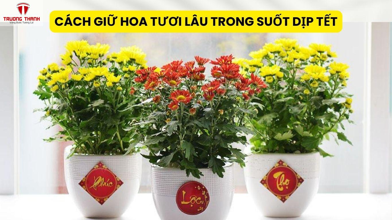 Cách Giữ Hoa Tươi Lâu Trong Suốt Dịp Tết