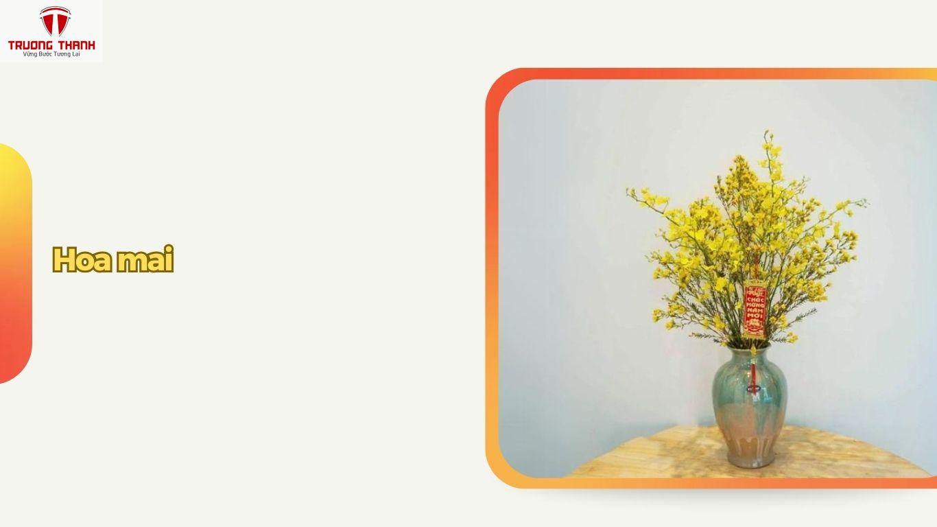 Tết Nên Chưng Hoa Gì Để Rước Tài Lộc Vào Nhà?