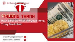 Hash Là Gì Và Vì Sao Nó Quan Trọng Trong Blockchain